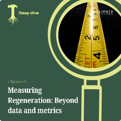 Measuring Regeneration: Beyond data and metrics