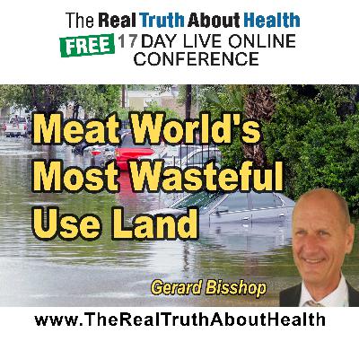 Why Meat Is the World's Most Wasteful Use of Land and Water
