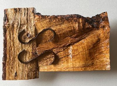 Francisco Gestal  presenta su exposición ‘Breves bellezas muertas’ en la Casa de los Periodistas