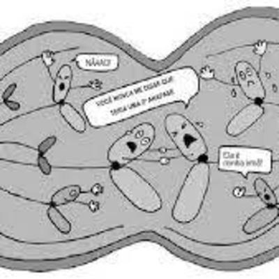 Genética Mendeliana - episódio 1