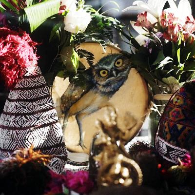 En La Selva Un Rio (See description for video!) #Ayahuasca #Icaro