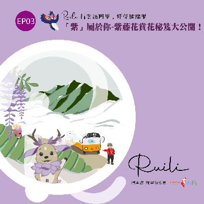 EP03 瑞里線-【紫屬於你】紫藤花賞花秘笈大公開！
