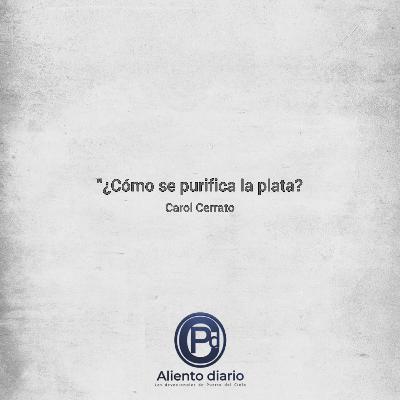 ¿CÓMO SE PURIFICA LA PLATA? Carol Cerrato ¿CÓMO SE PURIFICA LA PLATA? Carol Cerrato