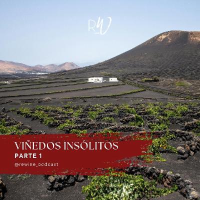 #221. Viñedos insólitos: Parte 1