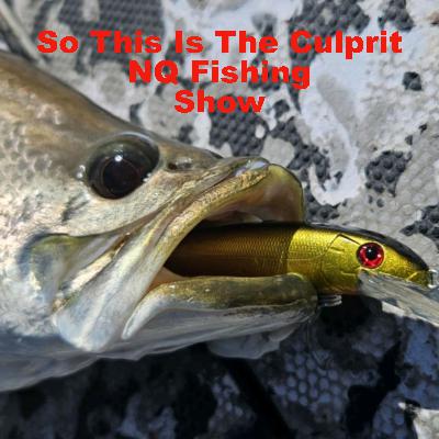 So This Is The Culprit NQ Fishing Show