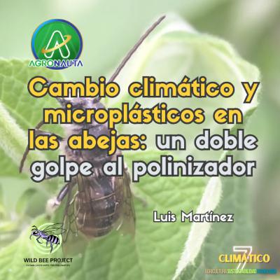 Cambio climático y microplásticos en las abejas: un doble golpe al polinizador