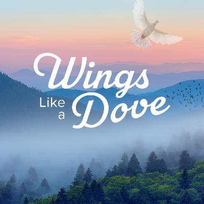 Wings Like a Dove Wings Like a Dove