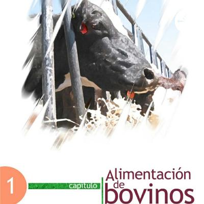 Dieta fácil de seguir para el incremento te leche en tu ganado 🐄 Dieta fácil de seguir para el incremento te leche en tu ganado 🐄