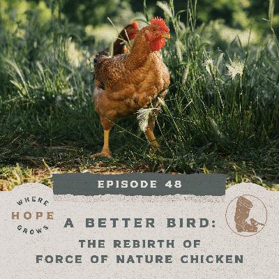 A Better Bird: The Rebirth of Force of Nature Chicken