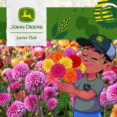 Folge 17: Die verlorene Farbe der Blumen Folge 17: Die verlorene Farbe der Blumen