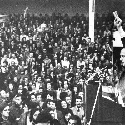 O VIII Governo Constitucional (1981-1982)