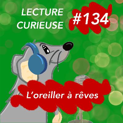 LC#134 L'OREILLER À RÊVES