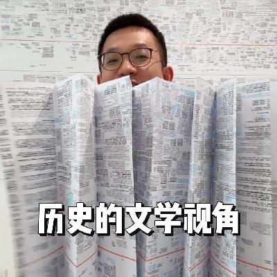 136. 历史的文学视角