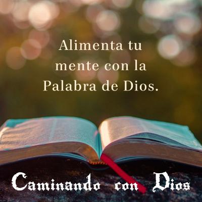 1 Juan 2:11