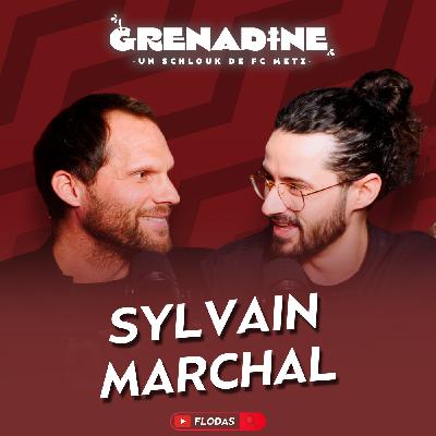 Sylvain Marchal, au service du FC Metz : formation, carrière, Metz, Sainté', Anelka, reconversion Sylvain Marchal, au service du FC Metz : formation, carrière, Metz, Sainté', Anelka, reconversion