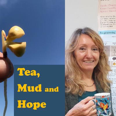 The biochemistry of tea with the wonderful Professor Elisabetta Damiani