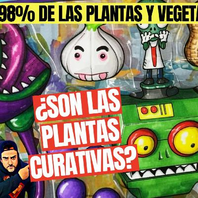 SON LAS PLANTAS CURATIVAS? SON LAS PLANTAS CURATIVAS?