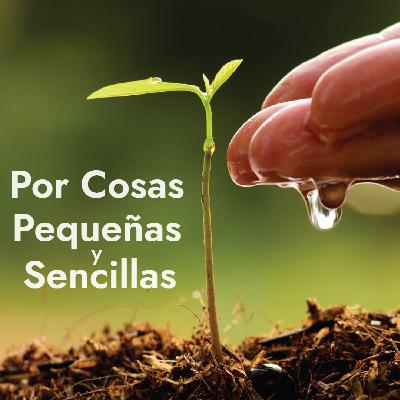 Por Cosas Pequeñas y Sencillas