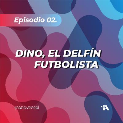 Dino, el delfín futbolista Dino, el delfín futbolista