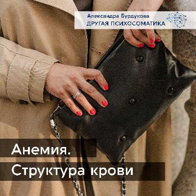 Психосоматика анемии. Структура крови