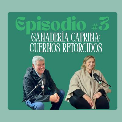 Episodio #3. Ganadería caprina: Cuernos Retorcidos