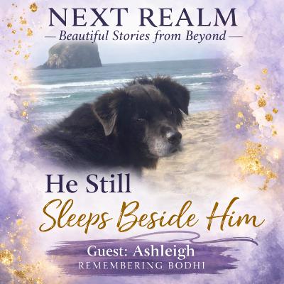 10. Over the Rainbow Bridge—Signs From Beyond After Pet Loss (Part 1) 10. Over the Rainbow Bridge—Signs From Beyond After Pet Loss (Part 1)