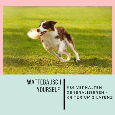 #86 WBY: Verhalten generalisieren - Kriterium 2 Latenz