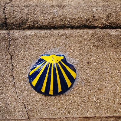 Capítulo 81 - CAMINO DE SANTIAGO 🚶‍♂️‍➡️➡️ - Qué es, cómo hacerlo y CONSEJOS para recorrer el camino más famoso de España - Descubriendo España 15 🇪🇦