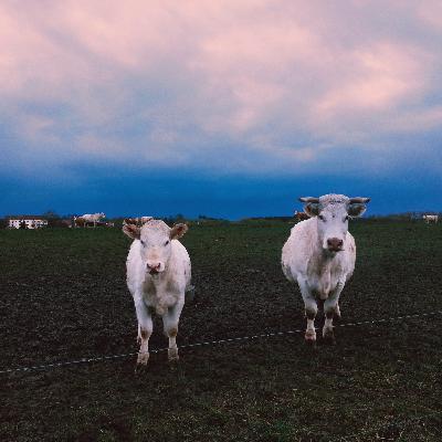 Freundinnen-Geschichten