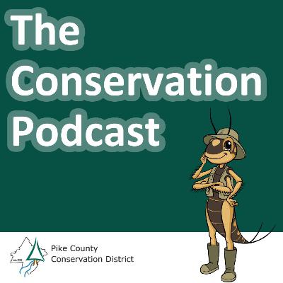 Season 4 Episode 1: Deep Roots - A Legacy of Leadership