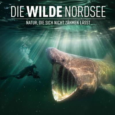 183. Die wilde Nordsee - Peter van Rodijnen 183. Die wilde Nordsee - Peter van Rodijnen
