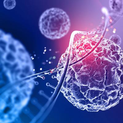 Carboidrati e rischio di cancro