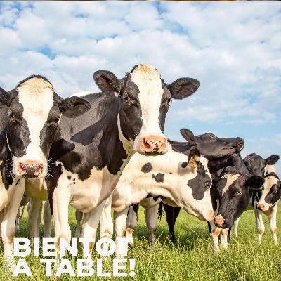Du lait bio, éthique et local Du lait bio, éthique et local