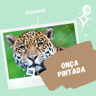 Animais 2