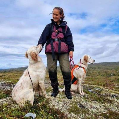 Lyst eller tvangsapport?