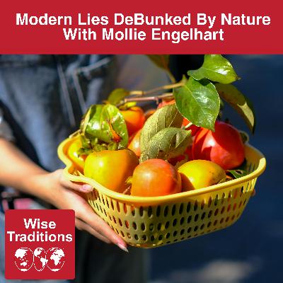 570: Modern Lies DeBunked By Nature With Mollie Engelhart 570: Modern Lies DeBunked By Nature With Mollie Engelhart