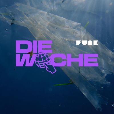 No Pavian, no Cry – Meer voller Plastik & Pferd auf K*ks?