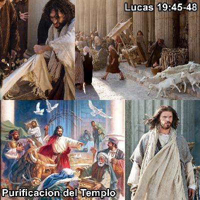 51-Purificación del Templo.mp3 51-Purificación del Templo.mp3