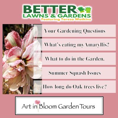 S2 Ep384: Better Lawns and Gardens - Hour 2 Gardening Questions September 13, 2025