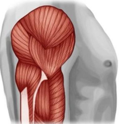 Sarcopenia