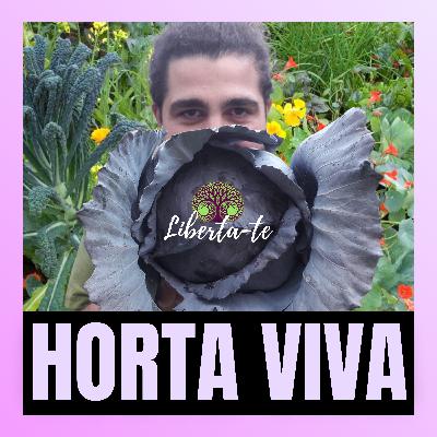 Ep.2 - "Horta Viva"