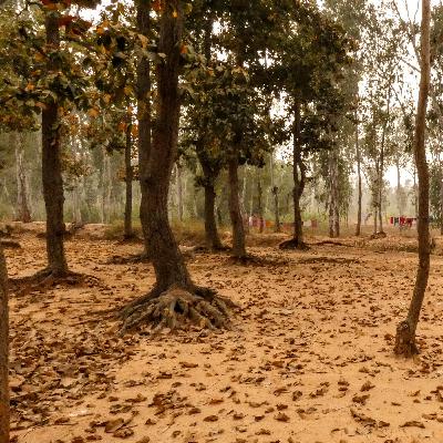 Episode 1a - Trends in Indian Startup Land with Pranav Tej Abridged