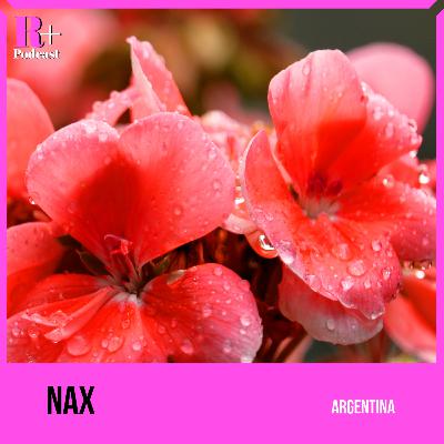 Texturas Agridulces: El Viaje de NAX en 'Sugar Days' I Entrevista