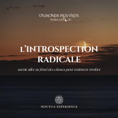L’introspection radicale : 5 étapes pour aller au fond de soi et vraiment évoluer