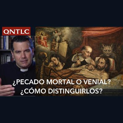 ¿Pecado mortal o pecado venial? ¿Cómo distinguirlos?