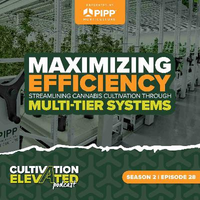 028 - Maximizing Efficiency: Streamlining Cannabis Cultivation Through Multi-Tier Systems