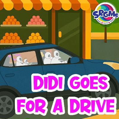 Didi SRGoo goes for a drive