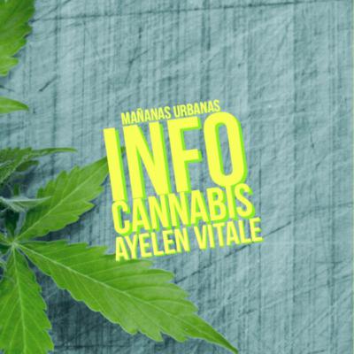 Infocannabis - Historia De La Prohibición