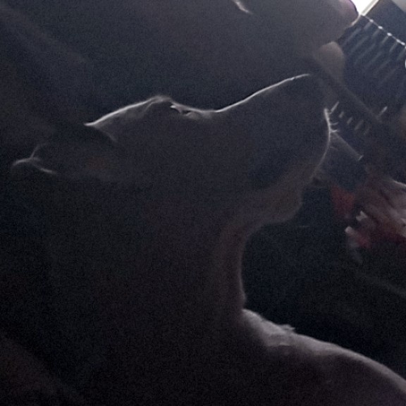 Lillian greathouse's Show