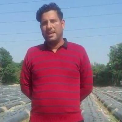 एक प्रगतिशील स्ट्राबेरी उत्पादक का संदेश Message of a Progressive Strawberry Grower
